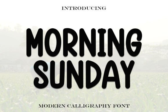 Morningsunday Font: A Web Designer’s Layout Review